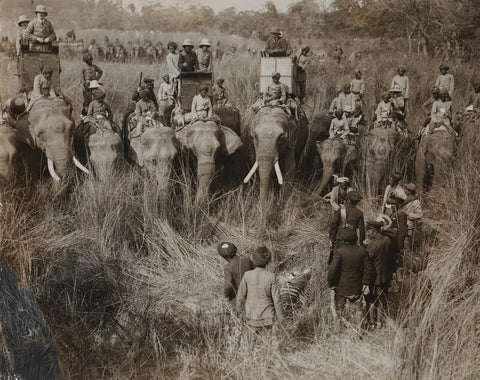 'Viewing a tiger shot by King George V' NPG x134356