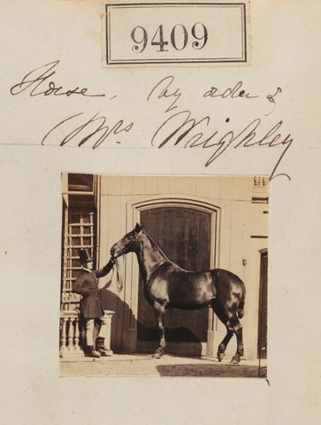'Horse by order of Mrs Weighley' NPG Ax59215