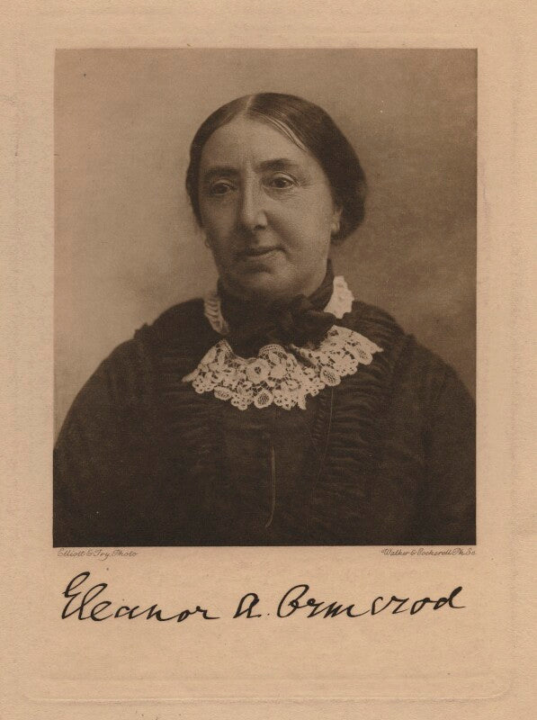 Eleanor anne ormerod npg x21686