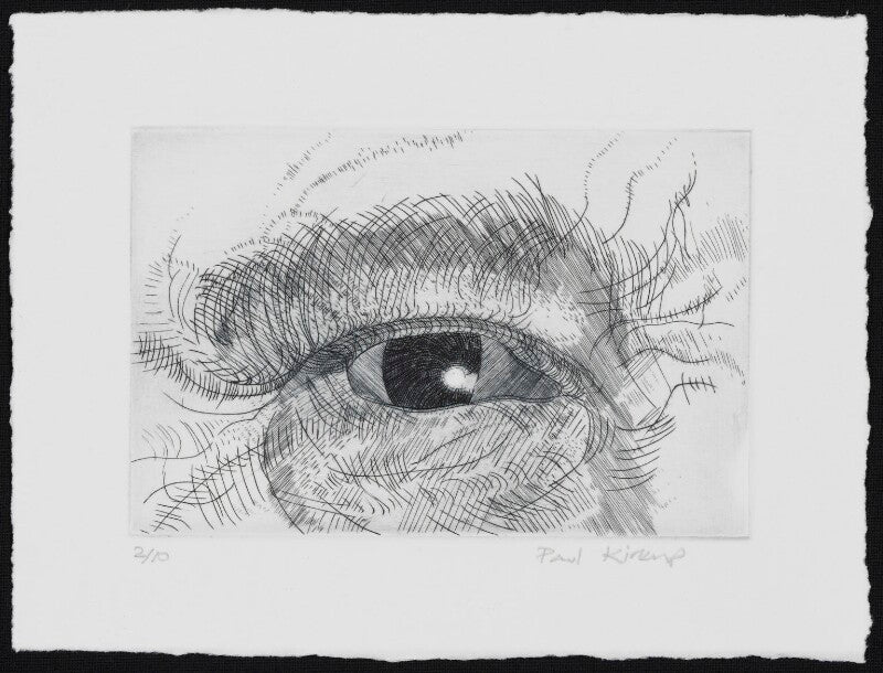 Engraving of an eye npg d49606