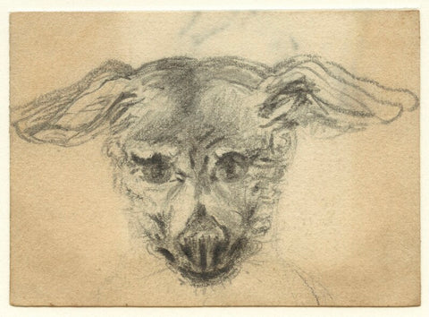 Sketch of the head of a dog NPG D23181