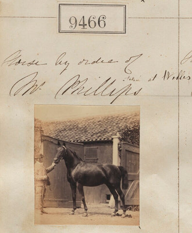 'Horse by order of Mr Phillips' NPG Ax59273