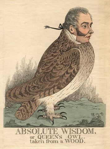 'Absolute wisdom, or Queen's owl. Taken from a wood' (Sir Matthew Wood, 1st Bt) NPG D13489
