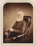 James Holman NPG P106(11)