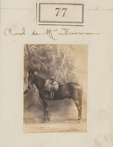 'Cheval de Mrs Fairman' (Mrs Fairman's horse) NPG Ax50063