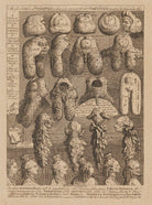 'The Five Orders of Perriwigs' NPG D33303