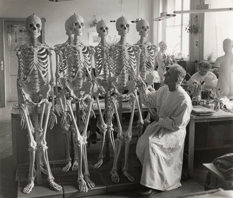 Deutsches hygiene museum, dresden npg x133266