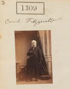Earl FitzGerald (Count Fitzgerald) NPG Ax50712