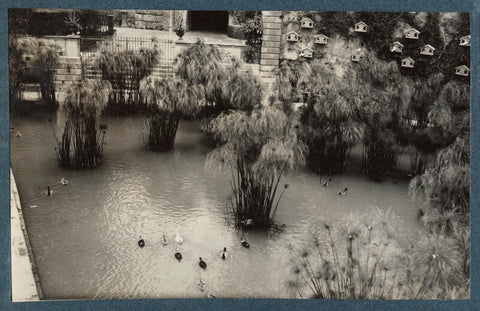 'Fountain of Arethusa, Syracuse' NPG Ax143542