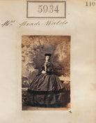 Mrs Meade Waldo NPG Ax55889