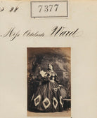 Miss Adelaide Ward NPG Ax57287