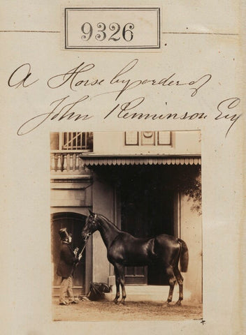 'A Horse by order of John Renninson' NPG Ax59138