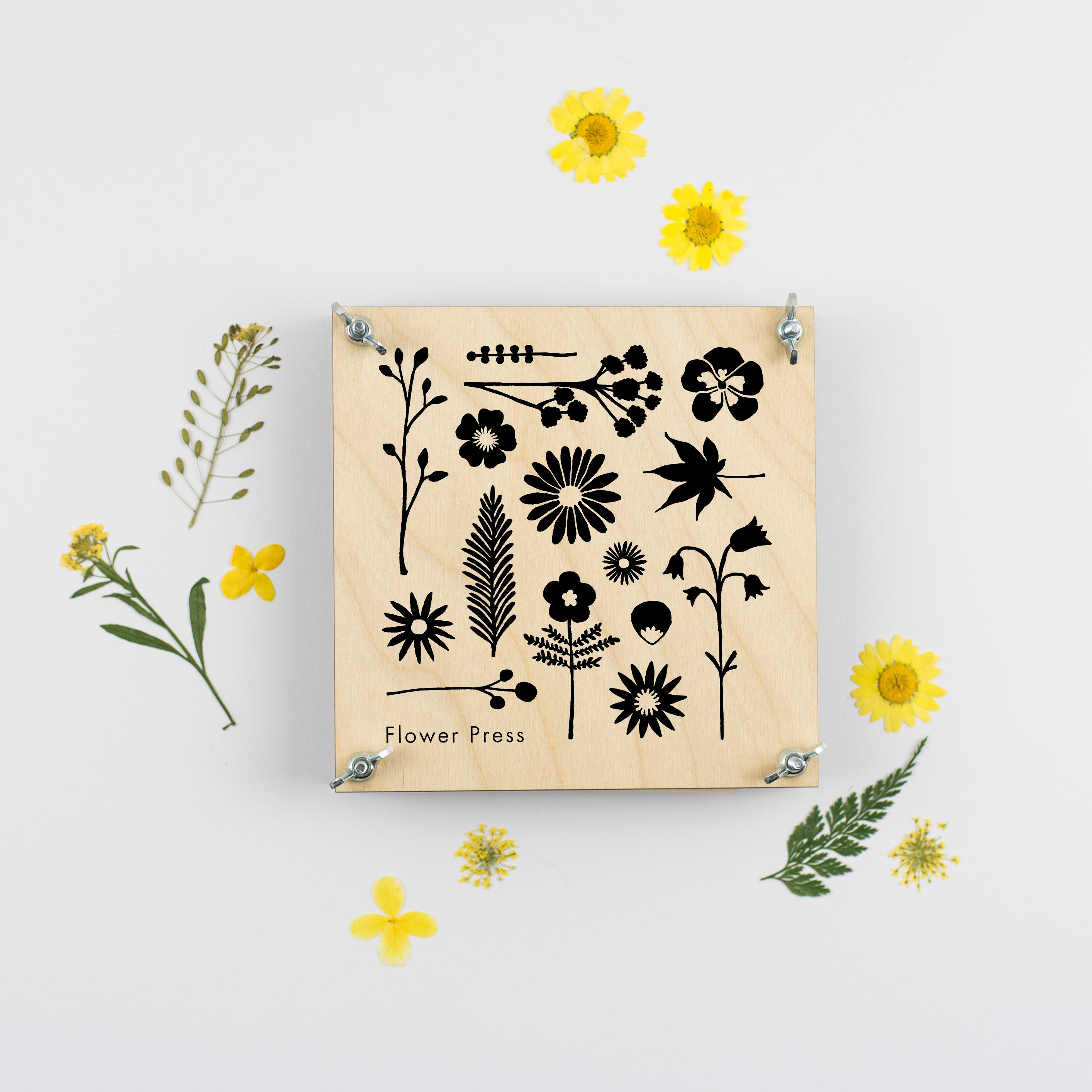 Handmade Flower Press — Modern Pressed Flower