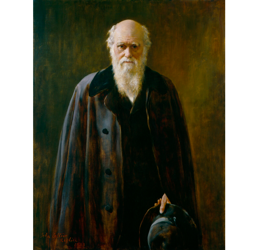 National portrait gallery 1024 portrait print